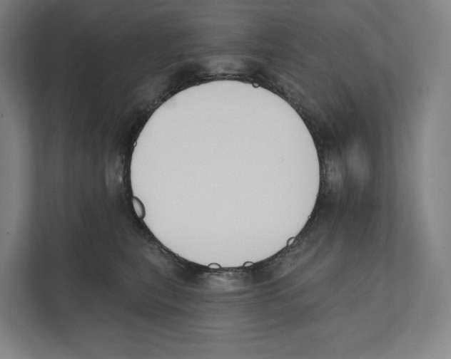 X0000111440567200908101017