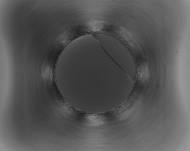 X0000111440568200908101017