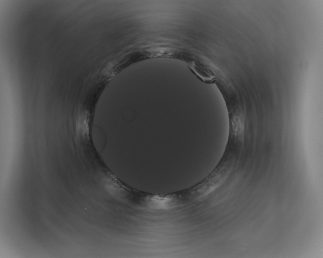 X0000111440570200908101017