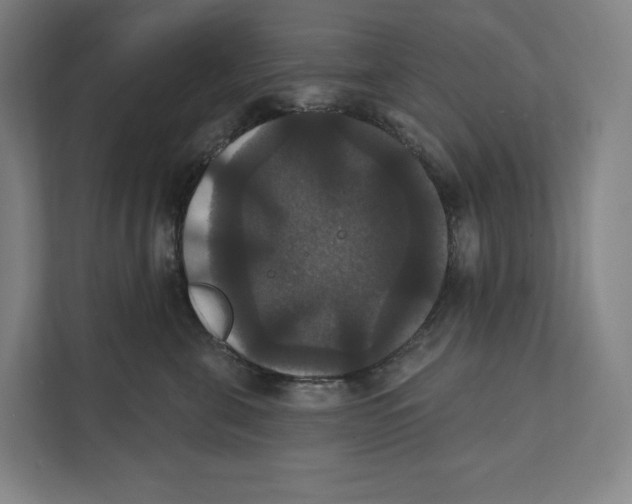 X0000111440571200908101017