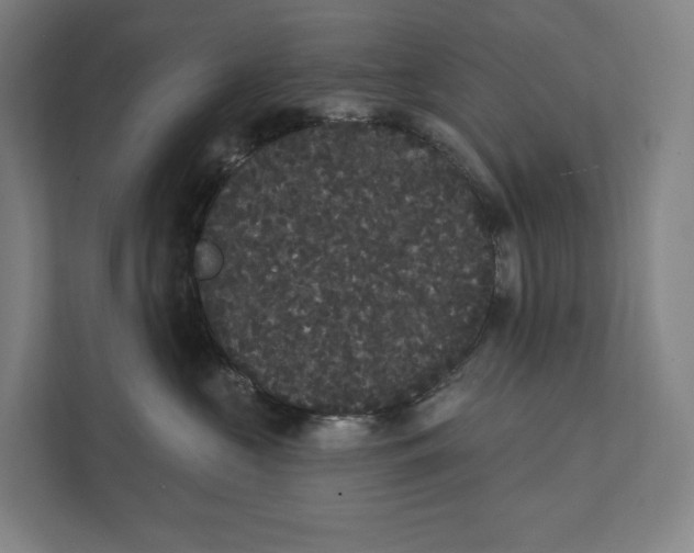 X0000111440573200908101017