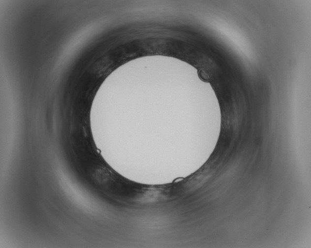 X0000111440574200908101017