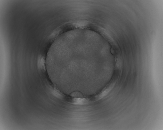 X0000111440575200908101017