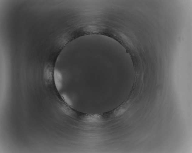 X0000111440576200908101017