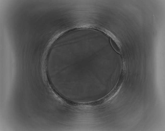 X0000111440577200908101016