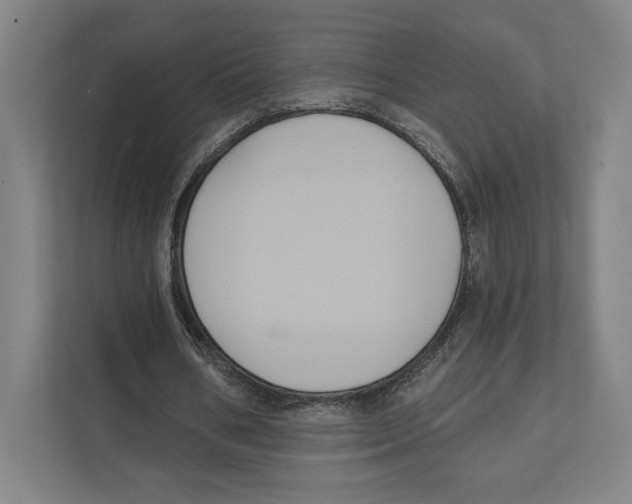 X0000111440578200908101016