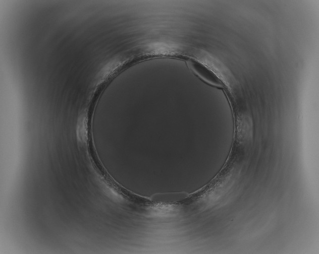 X0000111440581200908101016