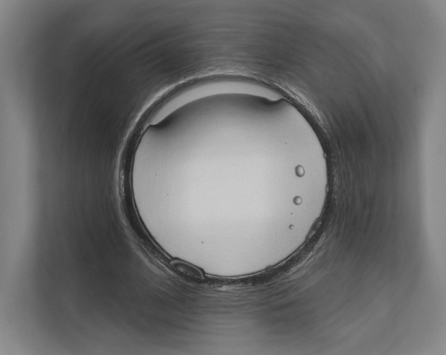 X0000111440584200908101016