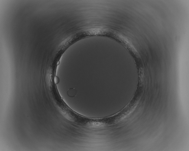 X0000111440590200908101016