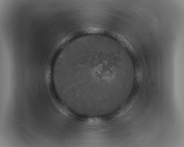 X0000111440591200908101016