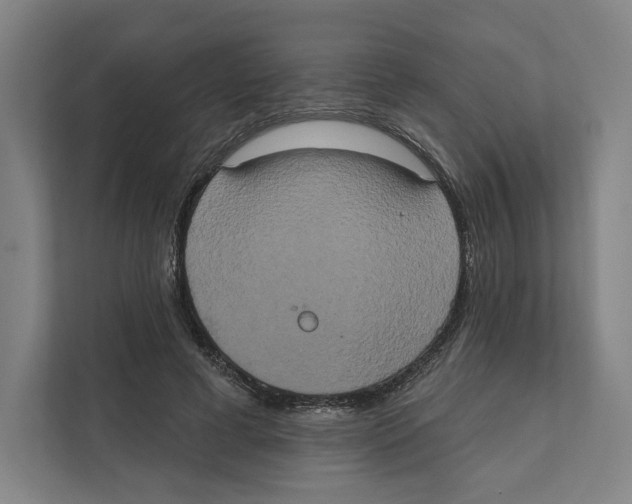 X0000111440593200908101016