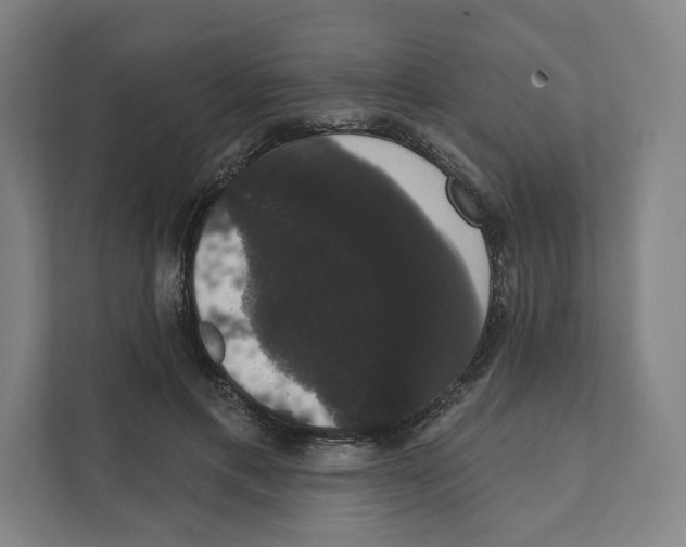 X0000111440597200908101016