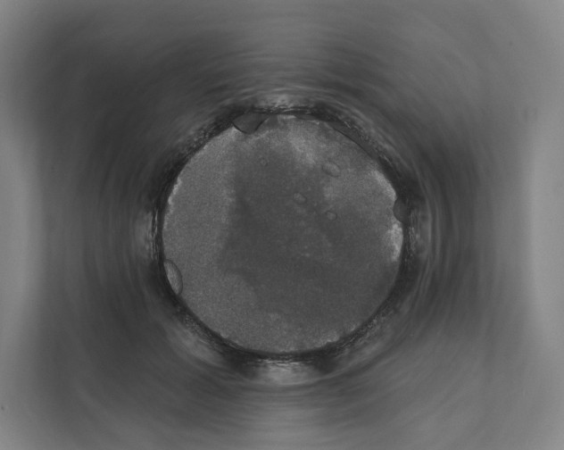 X0000111440605200908101016