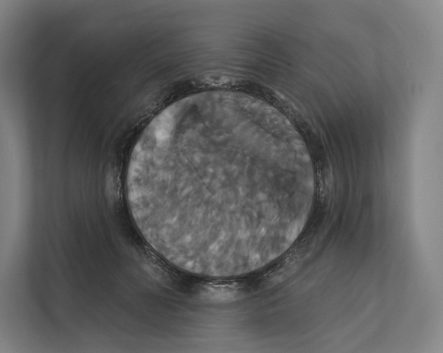 X0000111440606200908101016