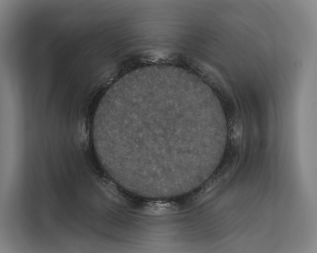 X0000111440607200908101016