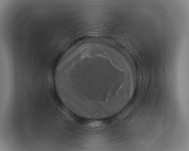 X0000111440609200908101016