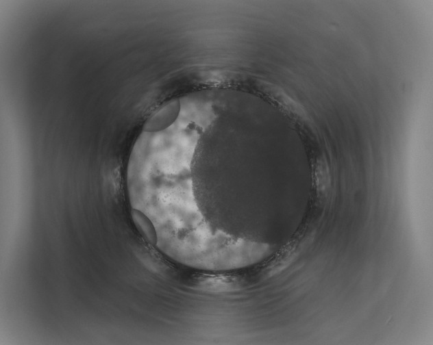 X0000111440611200908101016