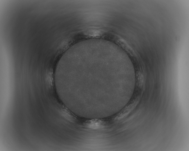 X0000111440612200908101016