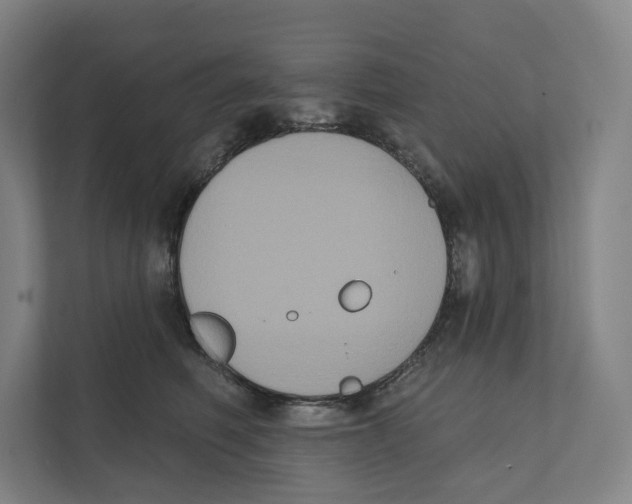 X0000111440614200908101016