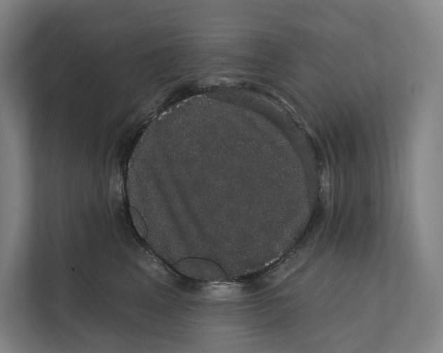 X0000111440617200908101016