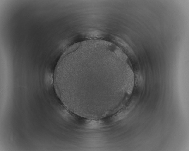 X0000111440621200908101016