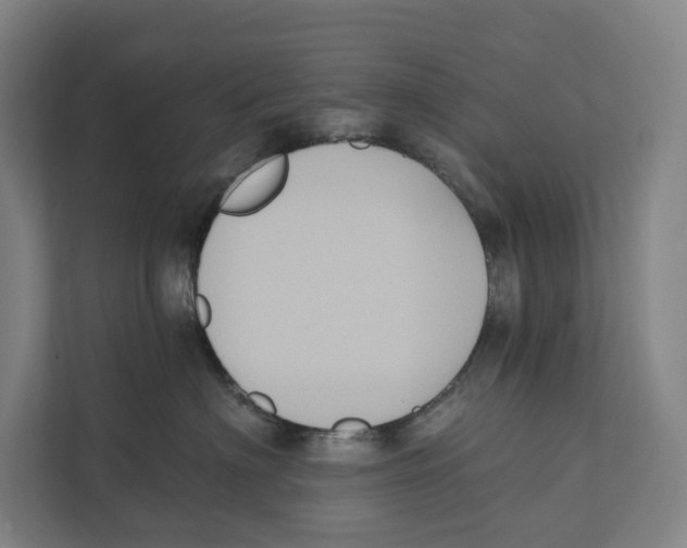 X0000111440622200908101016