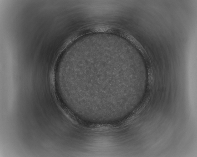 X0000111440626200908101015