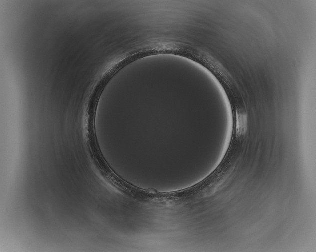 X0000111440627200908101015