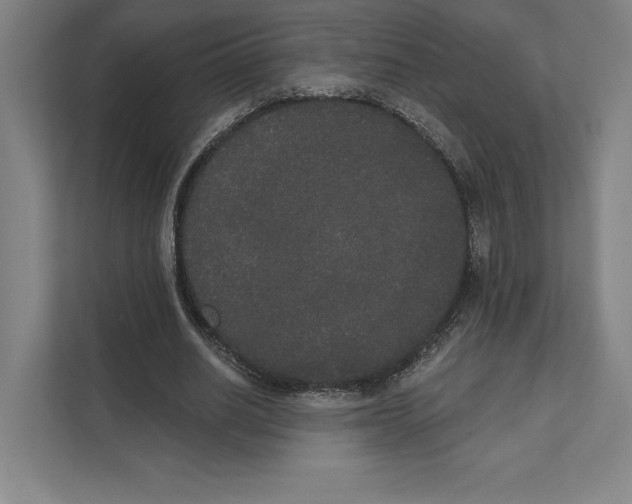 X0000111440630200908101015