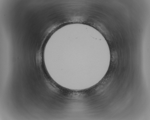 X0000111440632200908101015