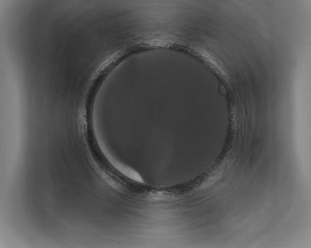 X0000111440634200908101015