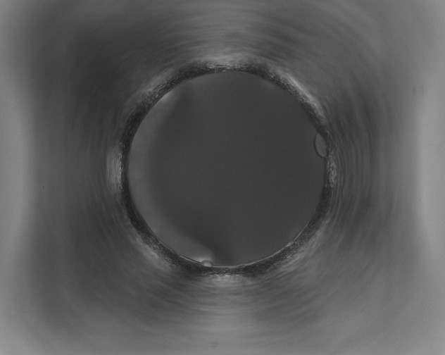 X0000111440637200908101015