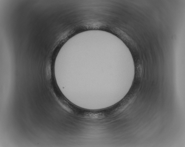 X0000111440638200908101015