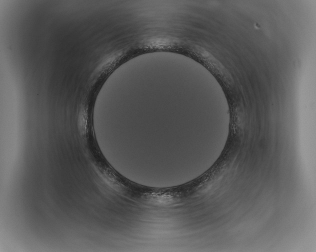 X0000111440640200908101015