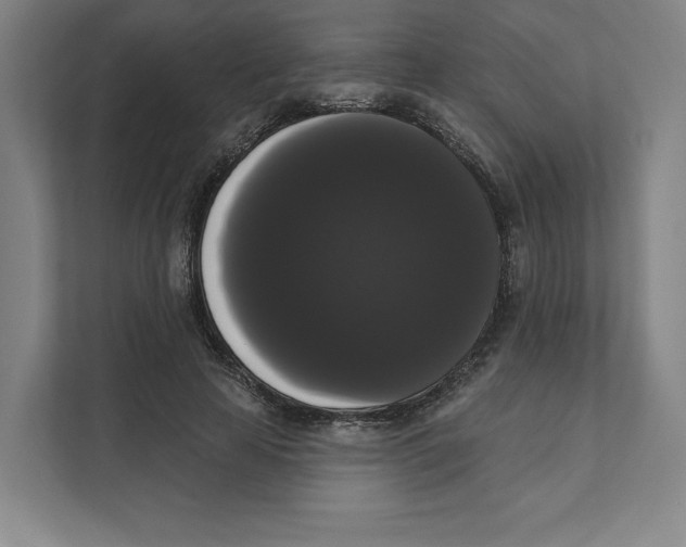 X0000111440641200908101015