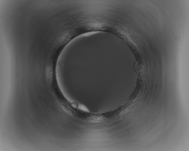 X0000111440642200908101015