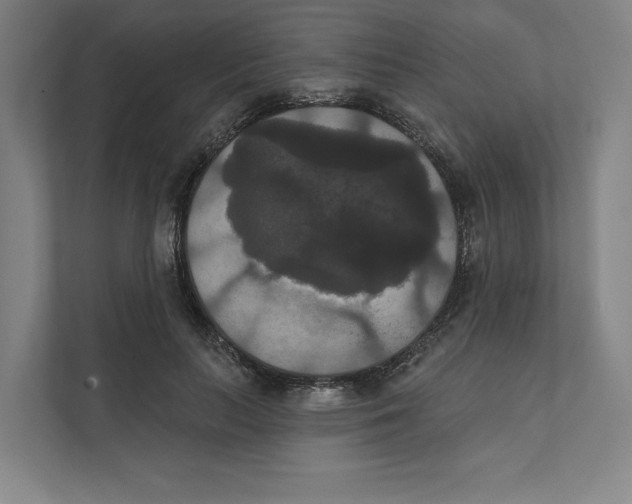 X0000111440647200908101015