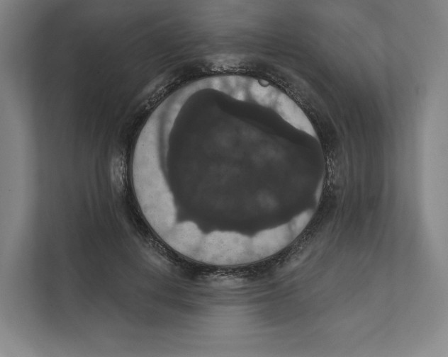 X0000111440648200908101015