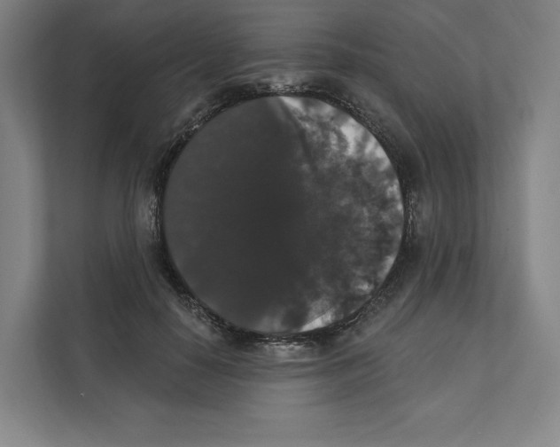 X0000111440650200908101015