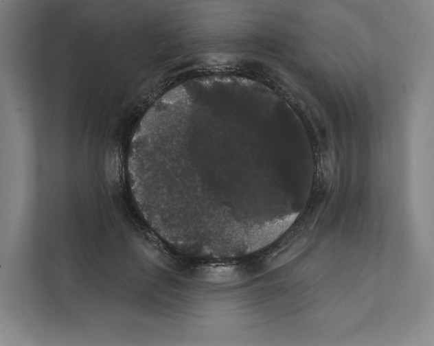 X0000111440651200908101015