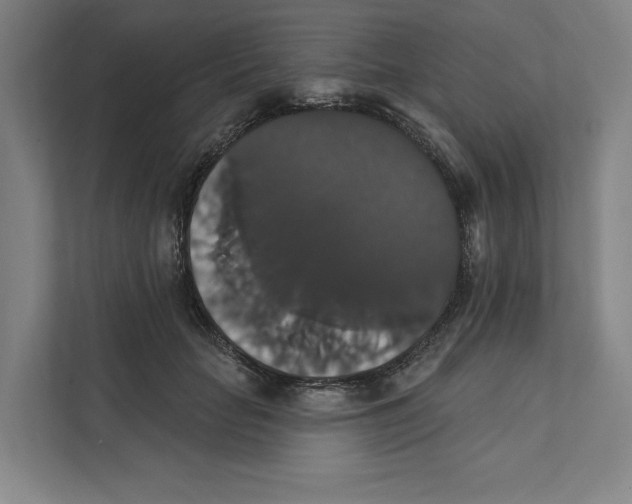 X0000111440653200908101015