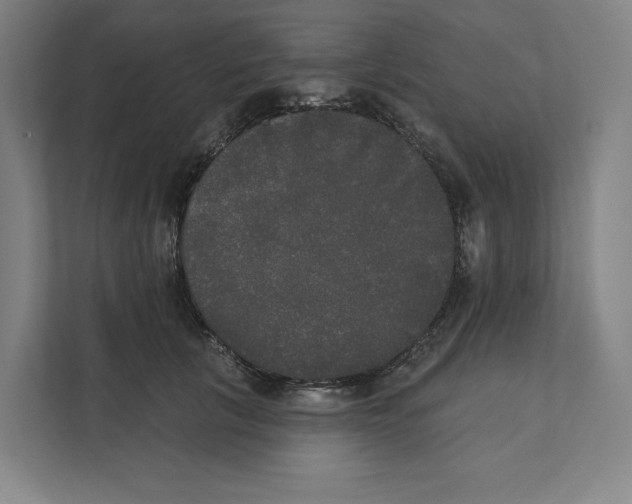 X0000111440657200908101015