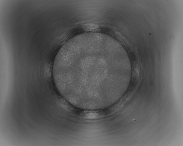 X0000111440658200908101015