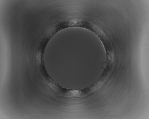 X0000111440659200908101015