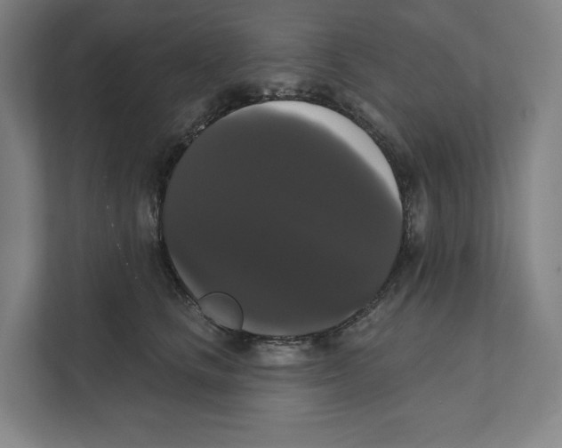 X0000111440661200908101015