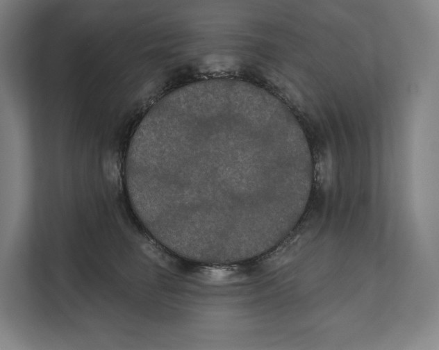 X0000111440662200908101015