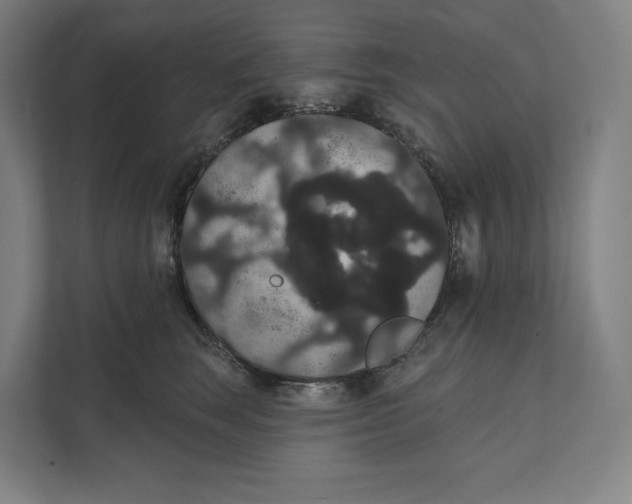 X0000111440663200908101016