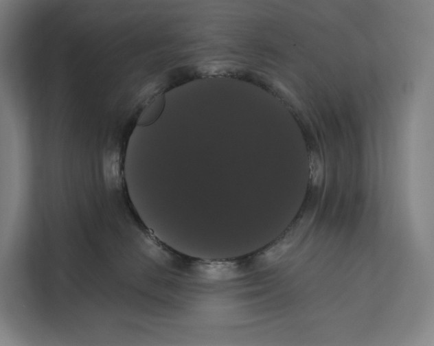 X0000111440670200908101016