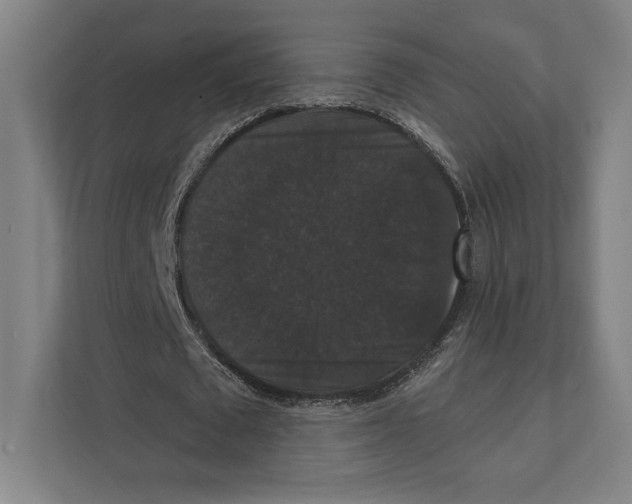 X0000111440673200908101015