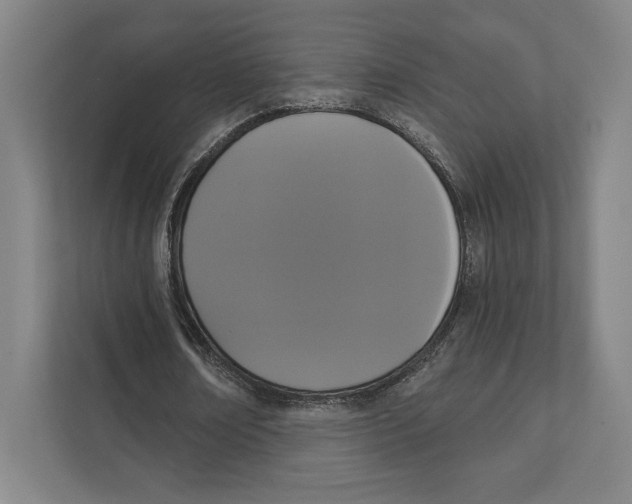 X0000111440674200908101015